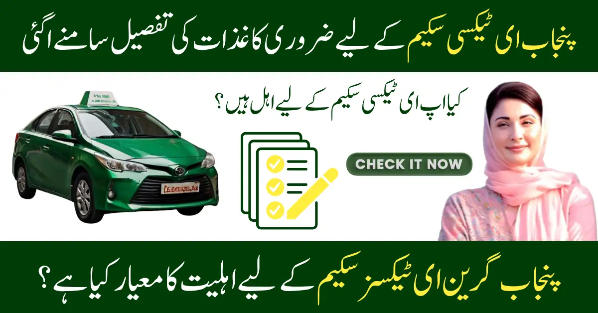 Punjab Green E-Taxi Scheme Requirements